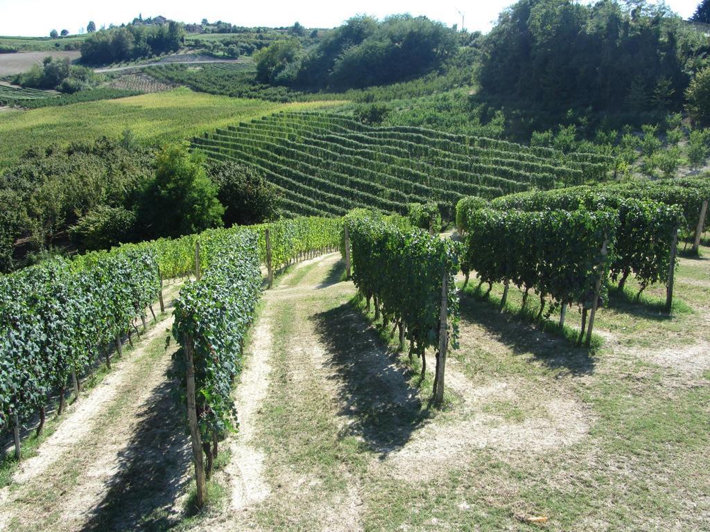 Costa Catterina B&B Castagnito Luaran gambar